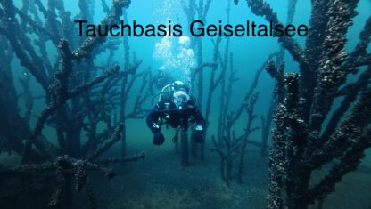 Geführter Tauchgang von Land – Bild 2