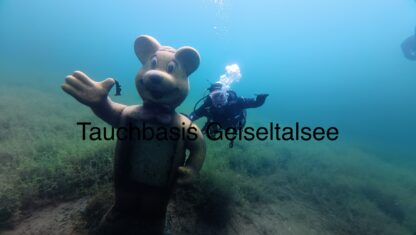 Schnuppertauchen Erwachsene – Bild 3